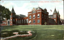 Museum Of Natural History Postcard