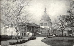 The Capitol Washington, DC Washington DC Postcard Postcard