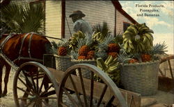 Florida Products Pineapples And Bananas Postcard
