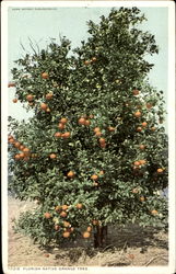 Stock #135139 Thumbnail