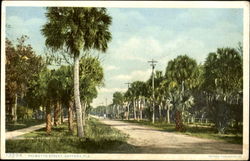Palmetto Street Postcard