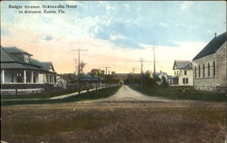 Badger Avenue Eustis, FL Postcard Postcard