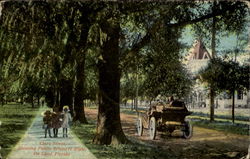 Clara Street Postcard