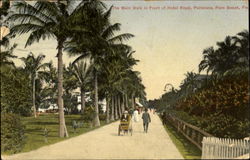 The Main Walk In Front Of Hotel Royal, Poinciana Postcard