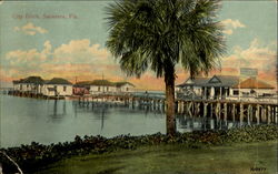 City Dock Sarasota, FL Postcard Postcard