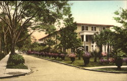 Approach To Virginia Inn Postcard