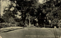 Driveway Devereux Country Club Postcard