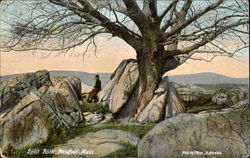Split Rock Postcard