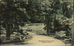 Brookside Depot Road Postcard