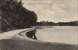 Jamaica Pond Jamaica Plain, MA Postcard Postcard