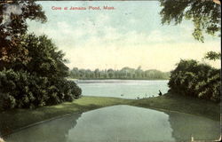 Cove At Jamaica Pond Boston, MA Postcard Postcard