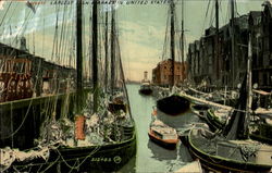 Largest Fish Market in United States Postcard