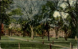 Campus Holworthy & Thayer Hall, Harvard University Postcard