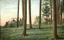 Stock #135603 Thumbnail