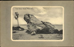 Toad Rock Woods Hole, MA Postcard Postcard