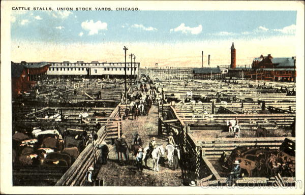 Cattle Stalls, Union Stock Yards Chicago Illinois
