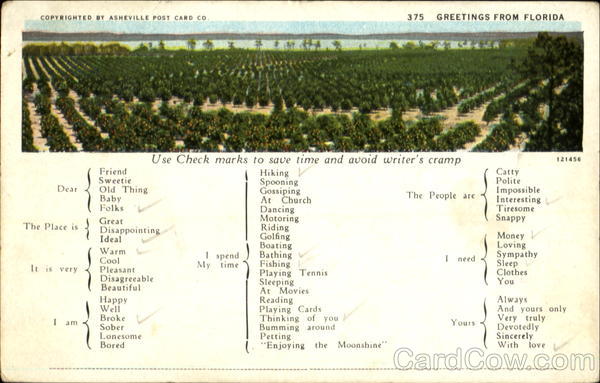 Greetings From Florida