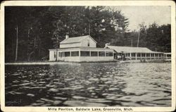 Mills Pavilion, Baldwin Lake Greenville, MI Postcard Postcard