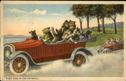 A Joy Ride In The Catskill Postcard Postcard