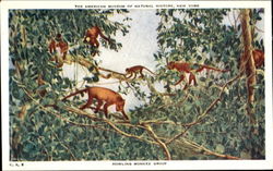 Howling Monkey Group Monkeys Postcard Postcard