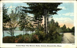 Scene Near The Brown Betty Annex Bryantville, MA Postcard Postcard
