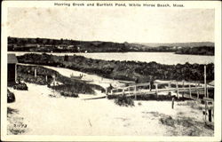 Herring Brook And Bartlett Pond Postcard