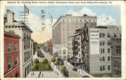 Walnut St. Showing Penn Harris Hotel Postcard