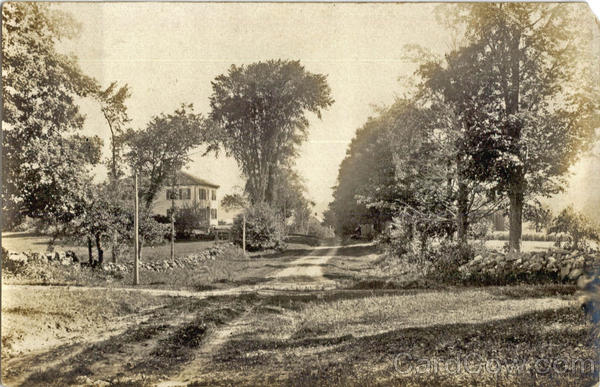 Country Road Landscapes