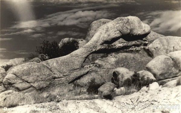 Dinosaur Rock Landscapes