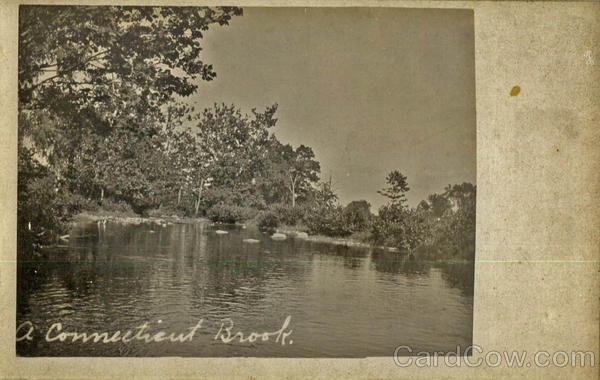 A Connecticut Brook Scenic