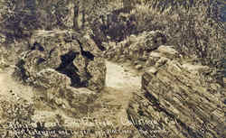 Stock #19395 Thumbnail