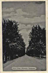 Drive Way Postcard