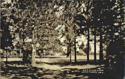 Meeks Bay Camp Postcard