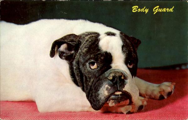 Body Guard Dogs