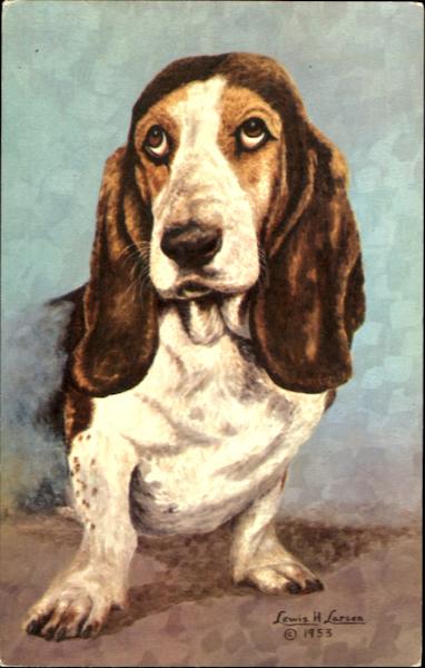 The Basset Hound Dogs