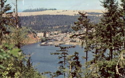 Lakeside, Off Hy. 101 Postcard