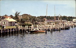 Ocean St. Docks Postcard