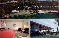 Terra Ceia Court And Cardinal Restaurant Winter Haven, FL Postcard Postcard