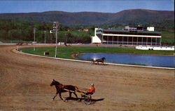 Warming Them Up At Green Mountain Park Pownal, VT Postcard Postcard