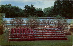 American Flag In Elizabeth Park Postcard
