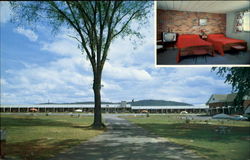Cadillac Motel, 213 South Main St Postcard