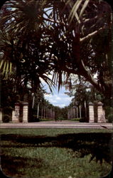 Famous Entrance To Hialeah Race Course's New Club House Postcard