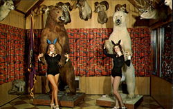 Kodiak And Polar Bear, Blue Mountain Restaurant and Hotel Harrisburg, PA Postcard Postcard