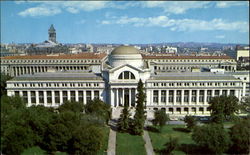 Natural History Building, Smithsonian Institution Washington, DC Washington DC Postcard Postcard