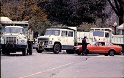 Stock #136985 Thumbnail