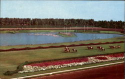 Parading To The Post On The Turf At Beautiful Hialeah Race Course Postcard