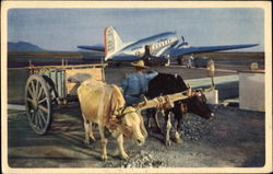 American Airlines Postcard