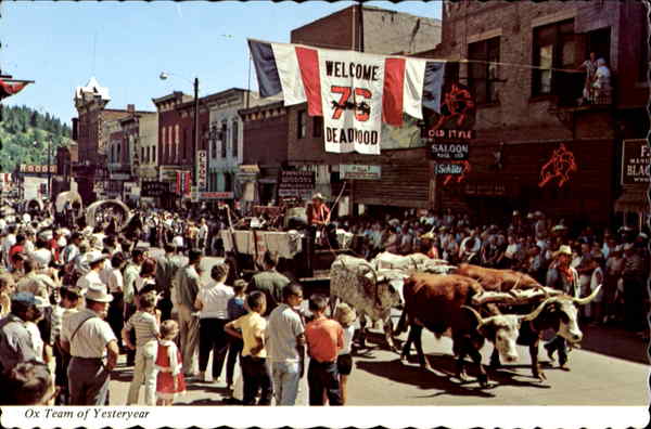 Ox Team Of Yesteryear Deadwood South Dakota