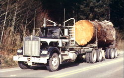 Pacific Northwest Logging