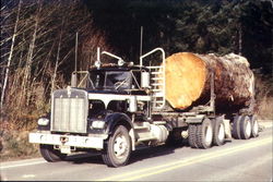 Pacific Northwest Logging